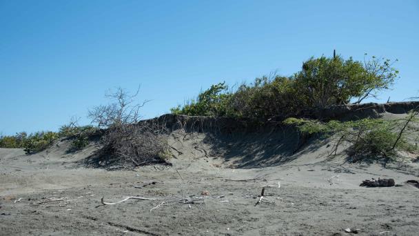 Ministerio de Medio Ambiente instruye reforzar vigilancia en Dunas de Baní