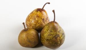 ¿Es saludable comer una fruta golpeada?