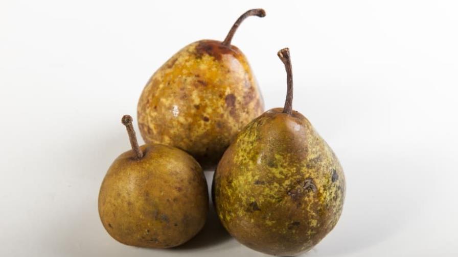 ¿Es saludable comer una fruta golpeada? ¿Es saludable comer una fruta golpeada?
