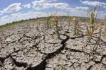 La sequía amenaza a un número creciente de países en todo el planeta La sequía amenaza a un número creciente de países en todo el planeta