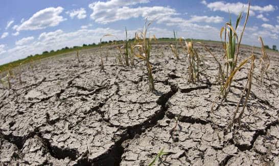 La sequía amenaza a un número creciente de países en todo el planeta