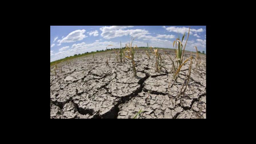 La sequía amenaza a un número creciente de países en todo el planeta