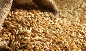 Rusia exporta a Turquía grano robado a Ucrania, según una investigación