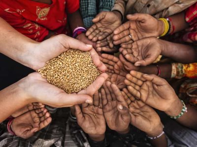 Casi 650 millones de personas padecieron hambre en el 2025