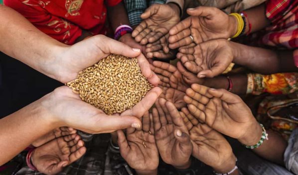 Casi 650 millones de personas padecieron hambre en 2025
