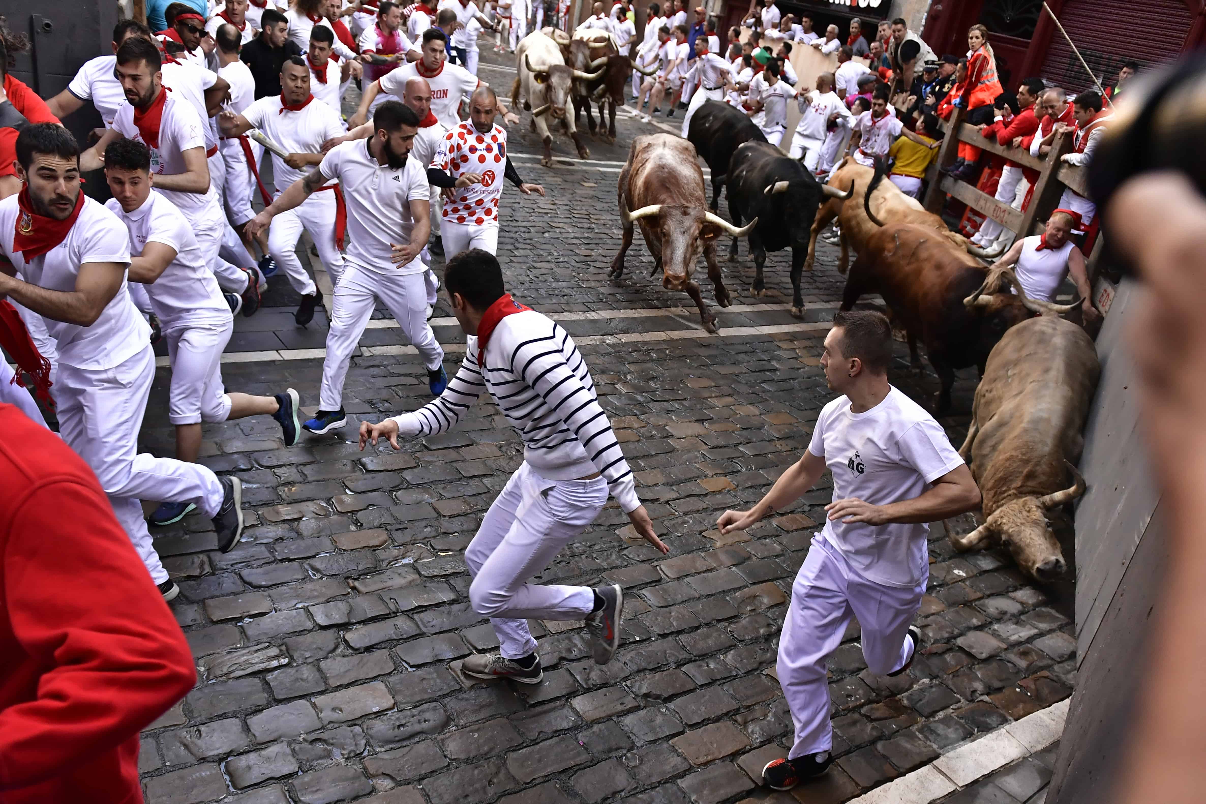 Gente corriendo por la calle con toros bravos y cabestros, en el primer día de encierros en las Fiestas de San Fermín en Pamplona, en el norte de España, el martes 7 de julio de 2022.