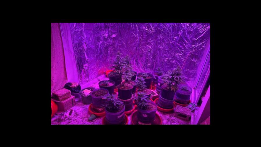 DNCD y MP ocupan 3,500 gramos de drogas en La Altagracia