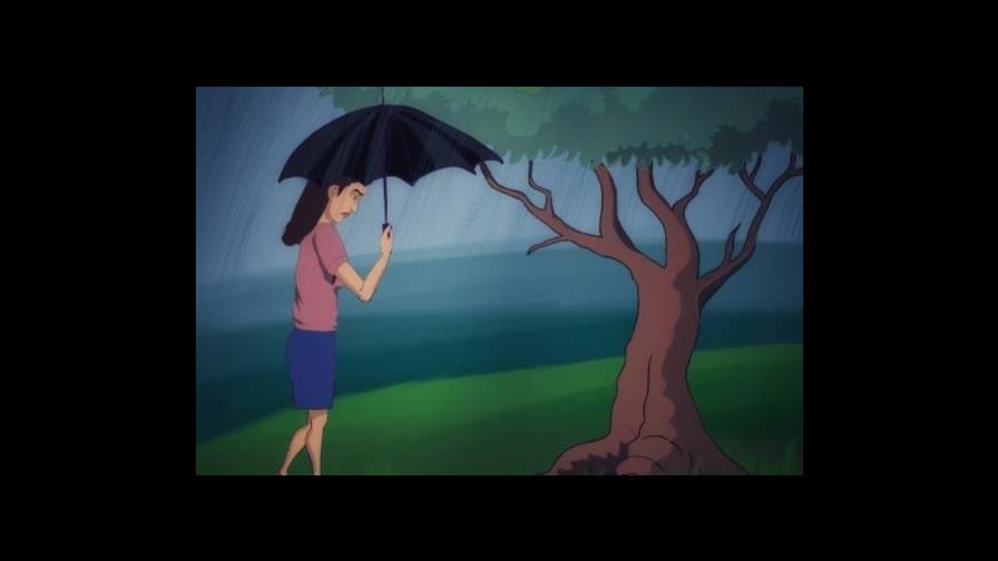 Reflexiones bajo la lluvia Reflexiones bajo la lluvia