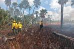 Más del 60 % de los fuegos forestales son intencionales en la provincia La Altagracia Más del 60 % de los fuegos forestales son intencionales en la provincia La Altagracia