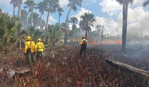 Más del 60 % de los fuegos forestales son intencionales en la provincia La Altagracia