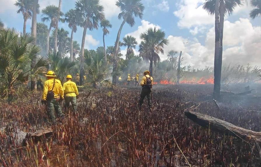 Más del 60 % de los fuegos forestales son intencionales en la provincia La Altagracia