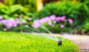 Cómo controlar el riego en el jardín