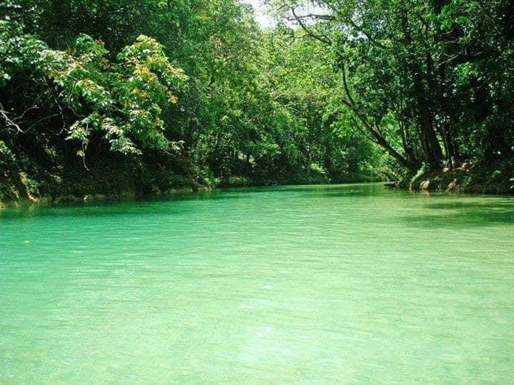 Someterán dueño de granja acusado de contaminar río Jamao al Norte en provincia Espaillat