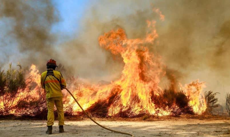 Más de 3,000 bomberos combaten incendio forestal en Portugal