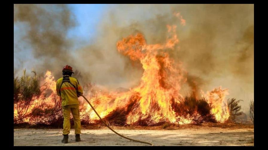 Más de 3,000 bomberos combaten incendio forestal en Portugal