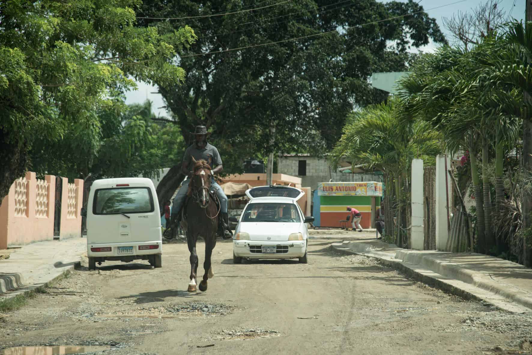 Los caballos y burros son los que mejor andan por la carretera.