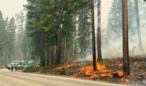 Combaten fuego en California que amenaza secuoyas de Yosemite