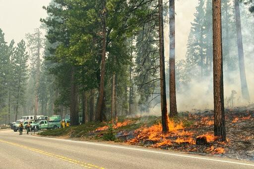 Combaten fuego en California que amenaza secuoyas de Yosemite