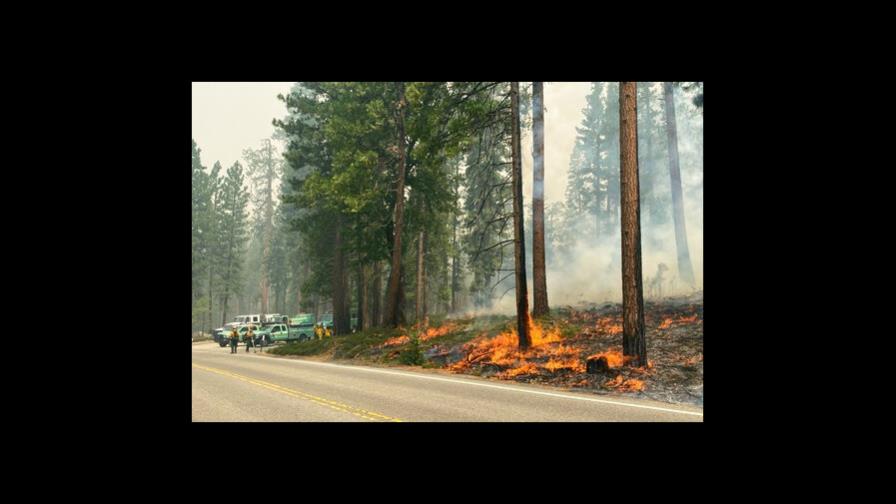 Combaten fuego en California que amenaza secuoyas de Yosemite