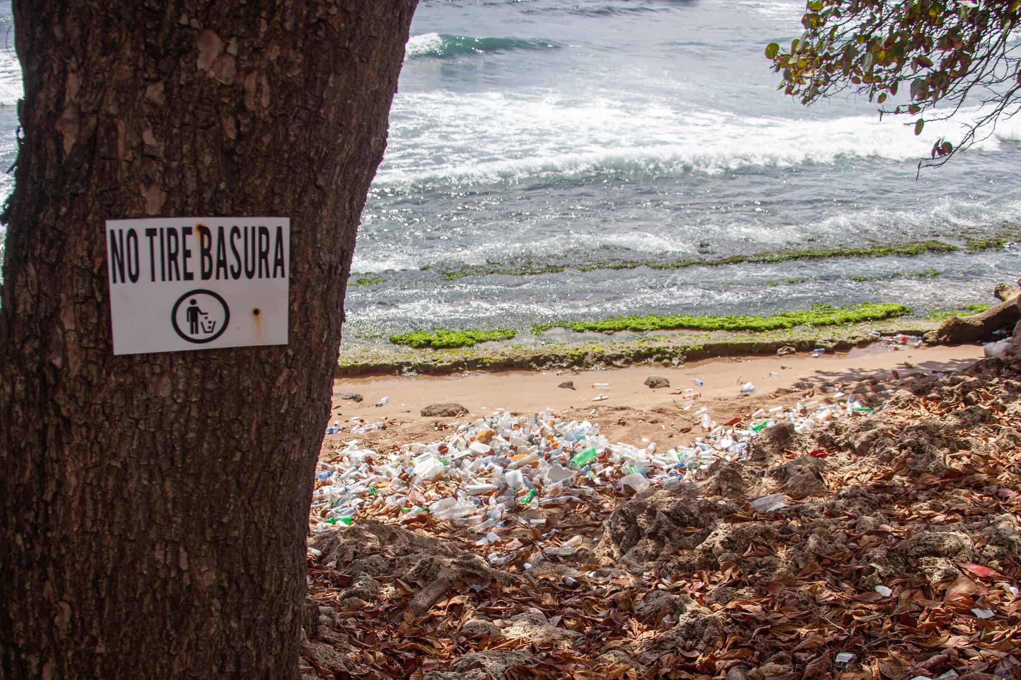 Basura plástica en la playa de Los Pescadores en el Malecón de Santo Domingo, en febrero de 2022. 