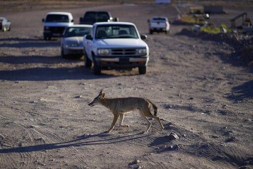 Se seca el Lago Mead, el embalse más grande de EEUU por cambio climático