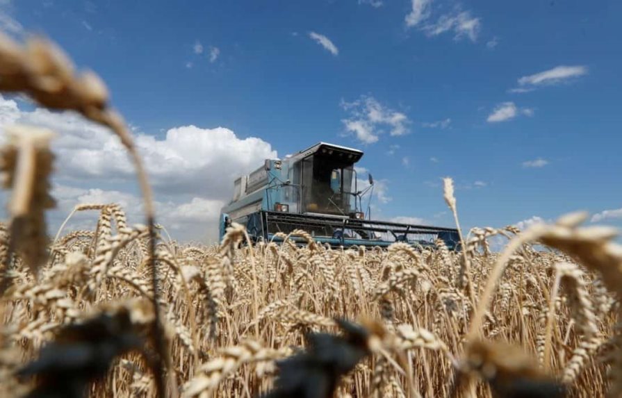 La ONU ve grandes avances para un acuerdo sobre el cereal ucraniano