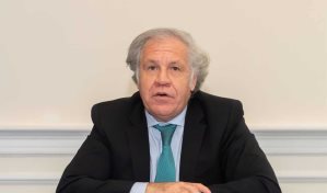 La OEA tratar&aacute; el jueves la situaci&oacute;n en Per&uacute; a petici&oacute;n de Castillo