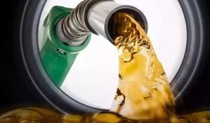 Fuerza Armada de Venezuela desmantela una banda dedicada al robo de gasolina