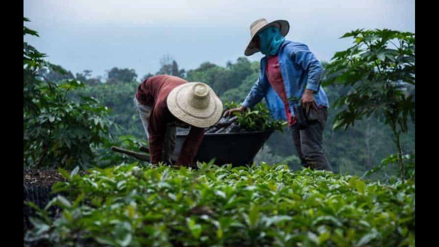 Moodys dice que el alza de las materias primas beneficiará a Latinoamérica