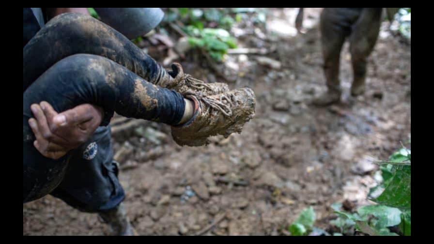 Mueren cuatro migrantes venezolanos en la selva del Darién, denuncia opositor