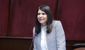 Diputados aprueban en primera lectura proyecto que regula la seguridad privada