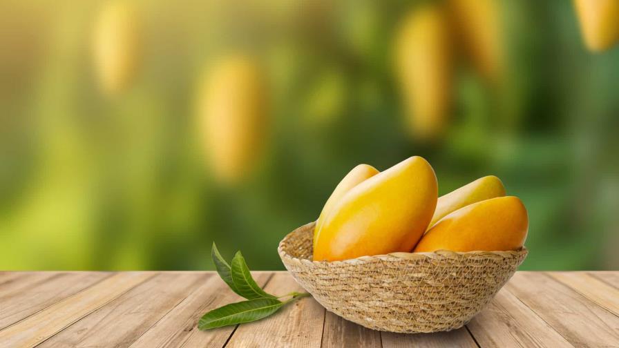En tiempo de mangos En tiempo de mangos