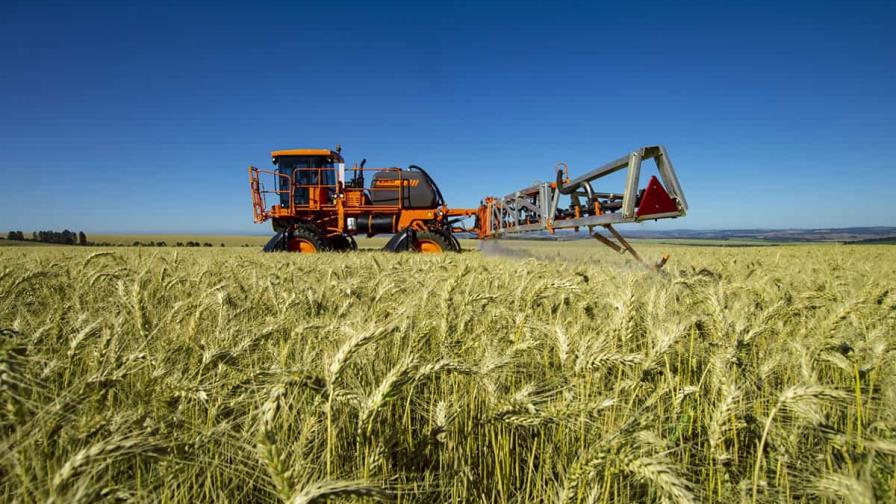 Instituciones piden a grandes economías más esfuerzo ante crisis alimentaria