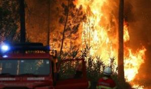 Fuego y calor no dan tregua en Espa&ntilde;a