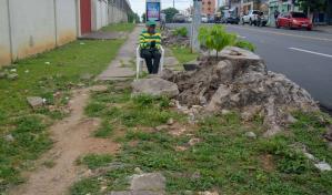 Un camino escabroso por la calle José Ortega y Gasett