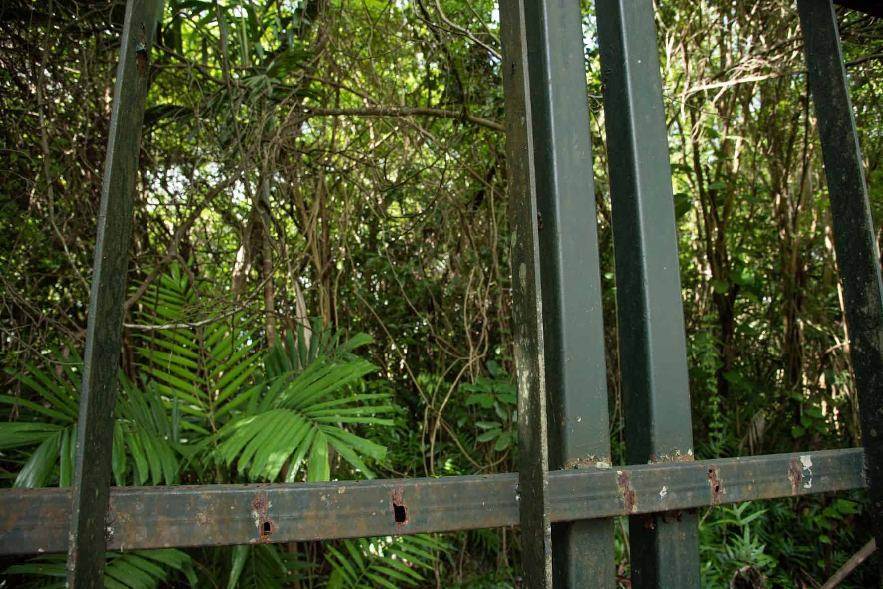 Cada barra pesa mas de 20 libras