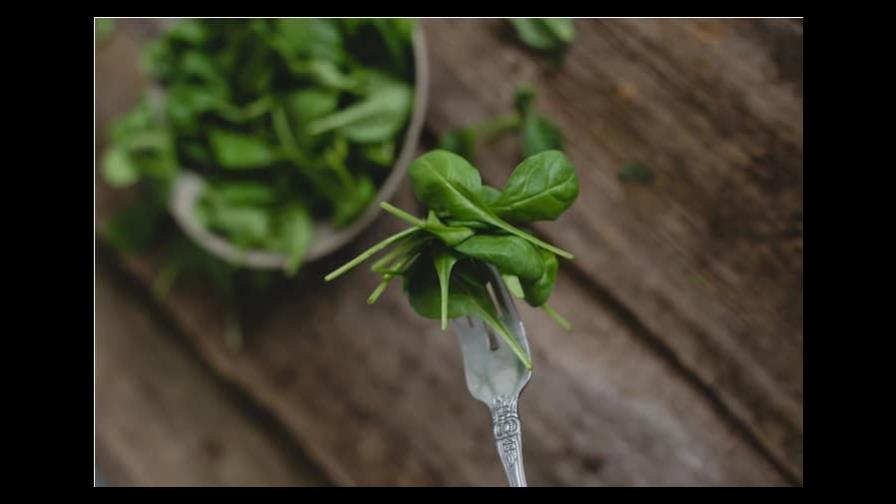 Vegetales ricos en proteínas