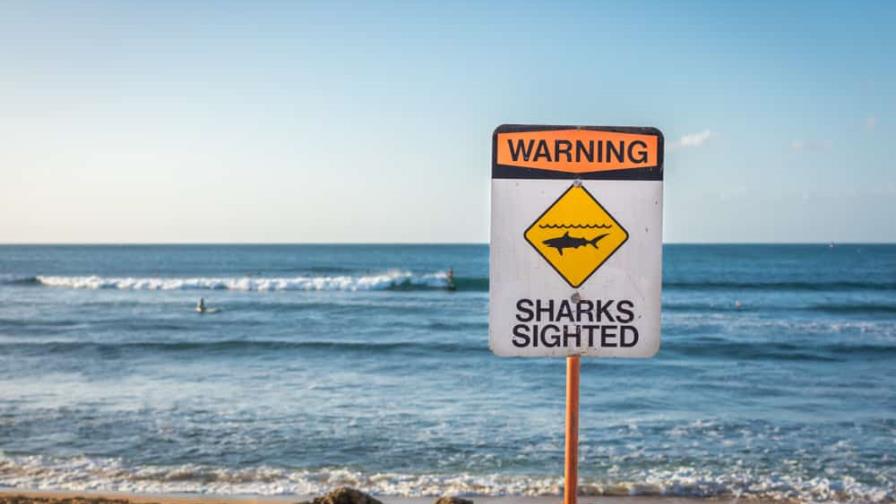 Cierran una playa de Nueva York a bañistas por avistamiento de tiburones Cierran una playa de Nueva York a bañistas por avistamiento de tiburones