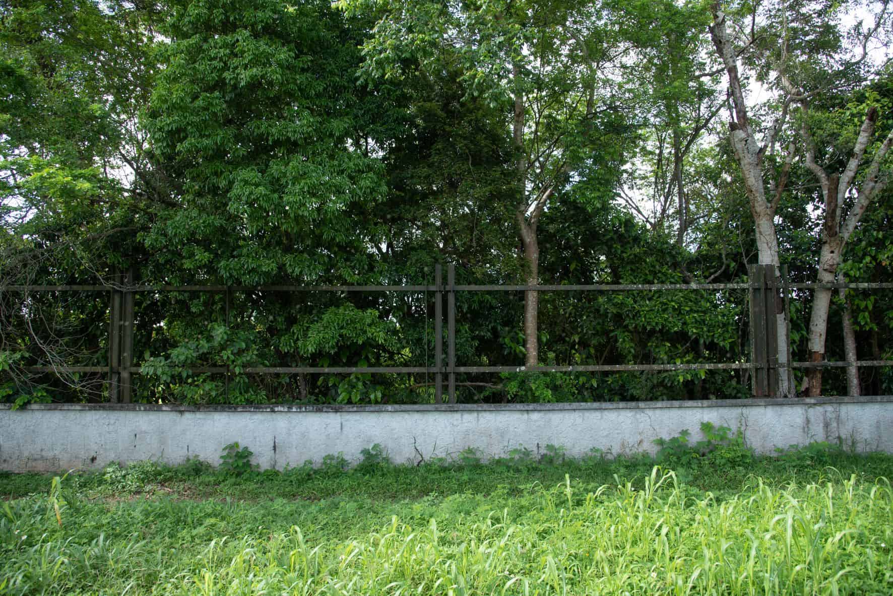 Esta zona de poco movimiento de persona, es donde se coemten las fechorías.