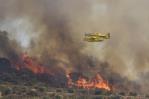 Casi 60mil hectáreas arrasadas por los incendios forestales en España