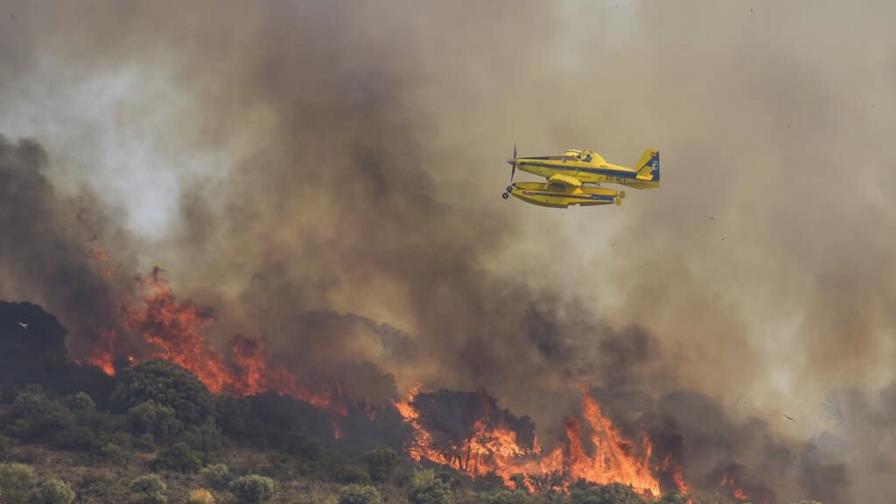 Casi 60mil hectáreas arrasadas por los incendios forestales en España