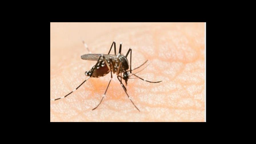 Lluvias disparan brote de dengue en El Seibo, según Salud Pública Lluvias disparan brote de dengue en El Seibo, según Salud Pública