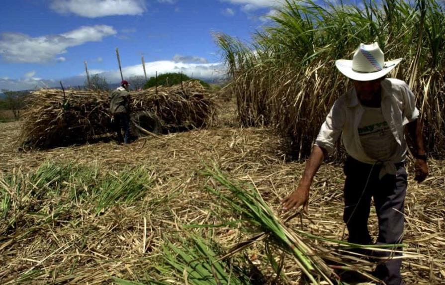 Industria azucarera desmiente a congresistas de EEUU sobre trabajo forzoso en ese sector