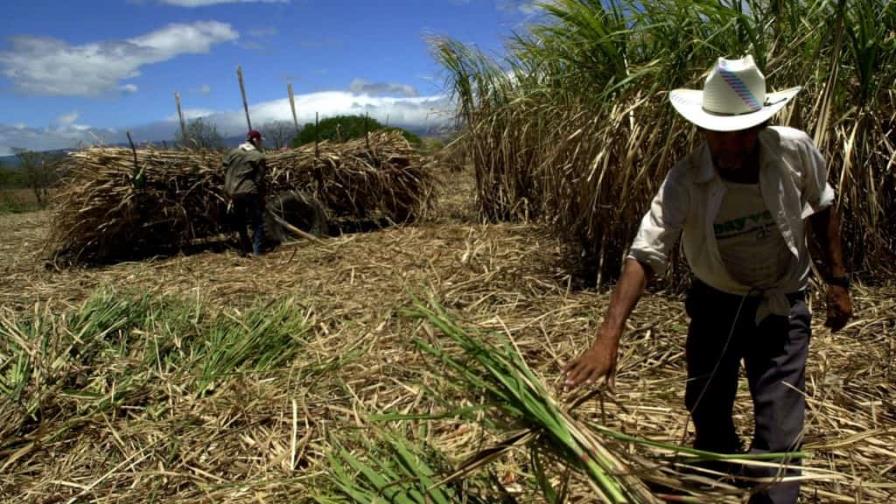 Industria azucarera desmiente a congresistas de EEUU sobre trabajo forzoso en ese sector