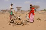 Estados Unidos destinará más de 255 millones de dólares a mitigar el hambre en Kenia