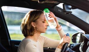 Calor y comportamiento