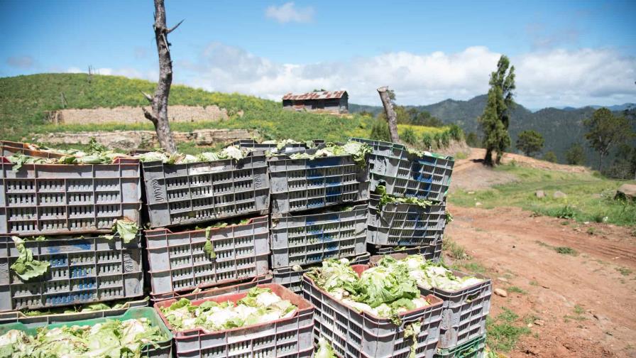 No cuadran cifras en Valle Nuevo