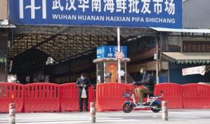 Investigadores confirman que el COVID-19 se origin&oacute; en mercado de animales vivos de Wuhan