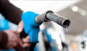 Mantener congelados los combustibles se lleva 74 % de todos los subsidios de primer semestre