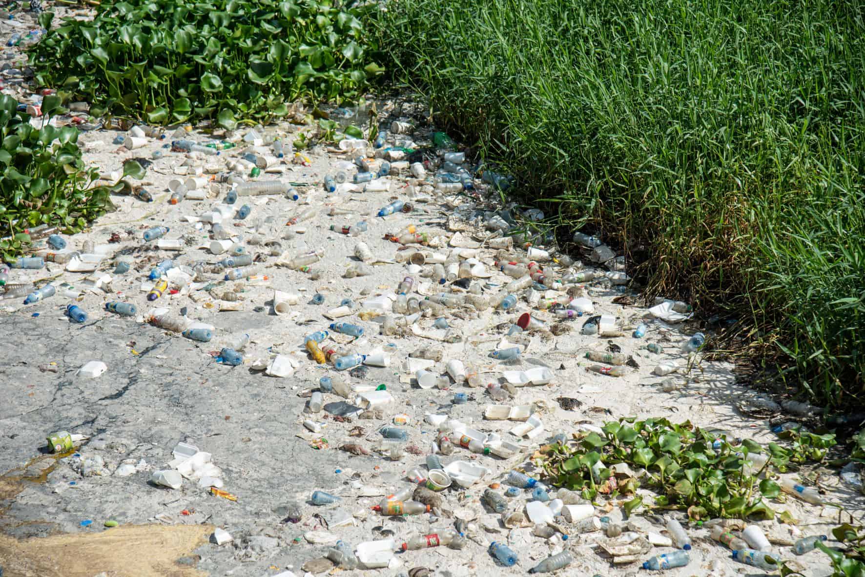 Residuos acumulados en la cañada que desemboca en el río Isabela.